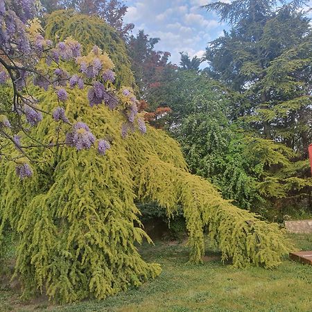 Gite Au Coeur De La Provence & Spa سان كانا المظهر الخارجي الصورة