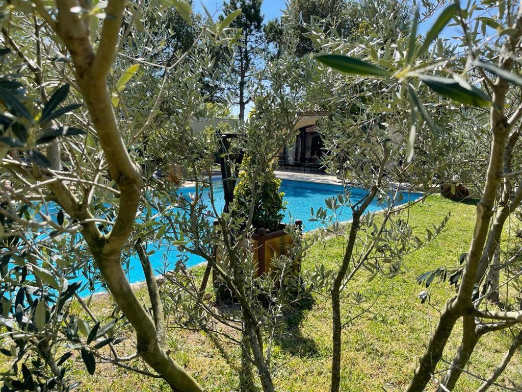 Gite Au Coeur De La Provence & Spa سان كانا المظهر الخارجي الصورة
